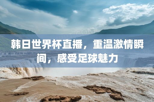 韩日世界杯直播，重温激情瞬间，感受足球魅力
