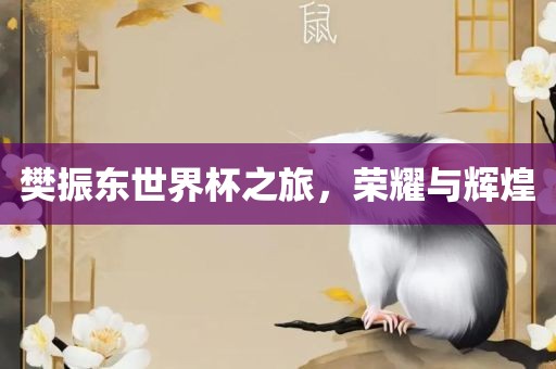 樊振东世界杯之旅，荣耀与辉煌