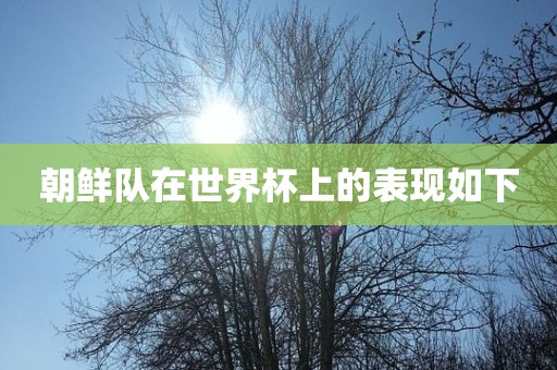 朝鲜队在世界杯上的表现如下