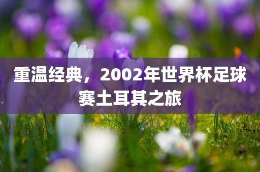 重温经典，2002年世界杯足球赛土耳其之旅眉山市正发家政服务有限公司