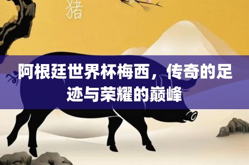 阿根廷世界杯梅西，传奇的足迹与荣耀的巅峰眉山市正发家政服务有限公司