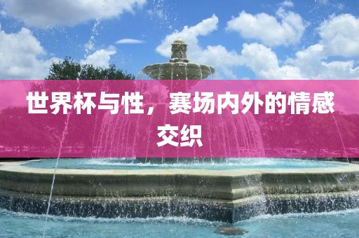 世界杯与性，赛场内外的情感交织眉山市正发家政服务有限公司