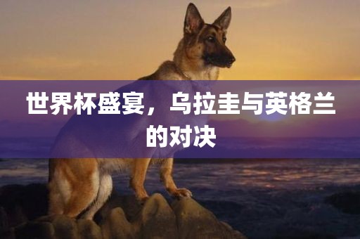 世界杯盛宴，乌拉圭与英格兰的对决眉山市正发家政服务有限公司