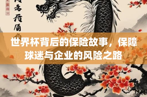 世界杯背后的保险故事，保障球迷与企业的风险之路眉山市正发家政服务有限公司