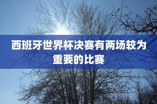 西班牙世界杯决赛有两场较为重要的比赛眉山市正发家政服务有限公司