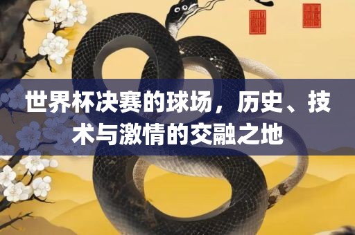 世界杯决赛的球场，历史、技术与激情的交融之地眉山市正发家政服务有限公司