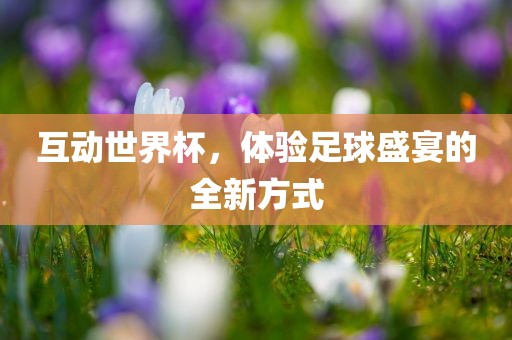 互动世界杯，体验足球盛宴的全新方式