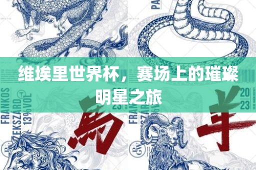 维埃里世界杯，赛场上的璀璨明星之旅