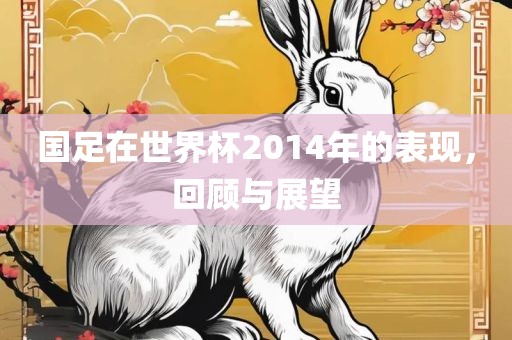 国足在世界杯2014年的表现，回顾与展望