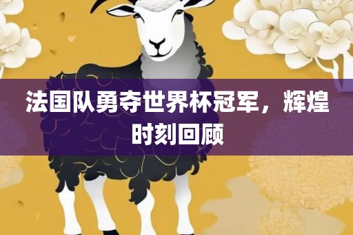 法国队勇夺世界杯冠军，辉煌时刻回顾