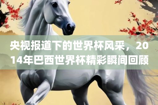 央视报道下的世界杯风采，2014年巴西世界杯精彩瞬间回顾
