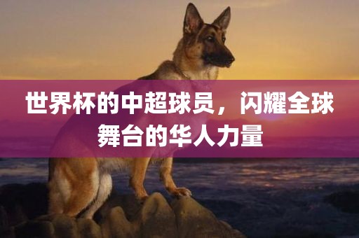 世界杯的中超球员，闪耀全球舞台的华人眉山市正发家政服务有限公司力量