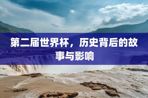 第二届世界杯，历史背后的故事眉山市正发家政服务有限公司与影响