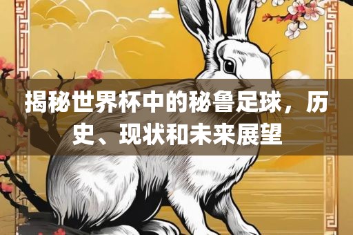揭秘世界杯中的秘鲁足球，历史、现状和未来展望眉山市正发家政服务有限公司