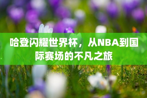 哈登闪耀世界杯，从NBA到国际赛场的不凡之旅眉山市正发家政服务有限公司