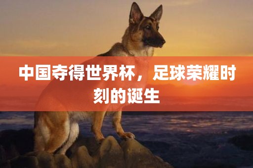 中国夺得世界杯，足球荣耀时刻的诞生眉山市正发家政服务有限公司