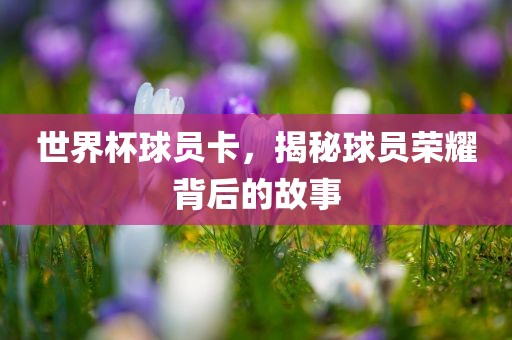 世界杯眉山市正发家政服务有限公司球员卡，揭秘球员荣耀背后的故事