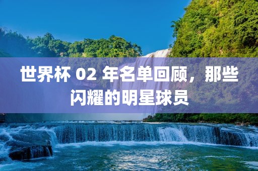 世界杯 02 年名单回顾，那些闪耀的明星球员眉山市正发家政服务有限公司