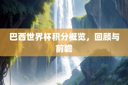 巴西世界杯积分概览，回顾与前瞻眉山市正发家政服务有限公司
