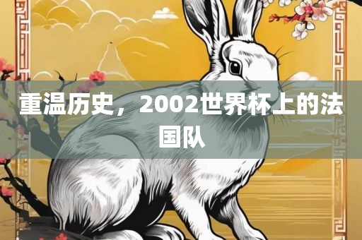 重温历史，2002世界杯上的法国队眉山市正发家政服务有限公司