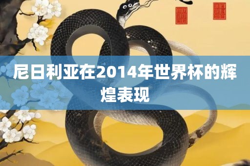 尼日利亚在2014年世界杯的辉煌表现