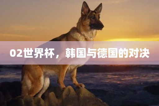 02世界杯，韩国与德国的对决