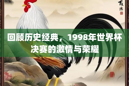 回顾历史经典，1998年世界杯决赛的激情与荣耀眉山市正发家政服务有限公司
