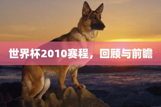 世界杯2010赛程，回顾与前瞻