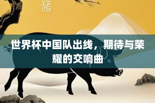 世界杯中国队出线，期待与荣耀的交响曲眉山市正发家政服务有限公司
