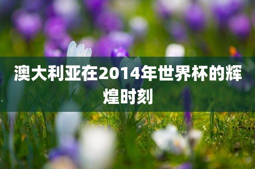 澳大利亚在2014年世界杯的辉煌时刻眉山市正发家政服务有限公司