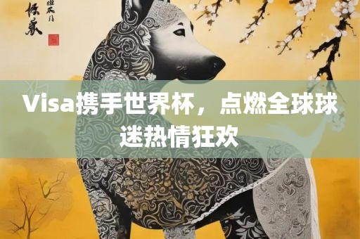 Visa携手世界杯，点燃全球球迷热情狂欢眉山市正发家政服务有限公司