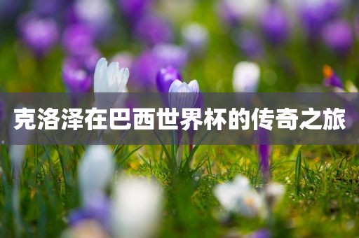克洛泽在巴西世界杯的传奇之旅