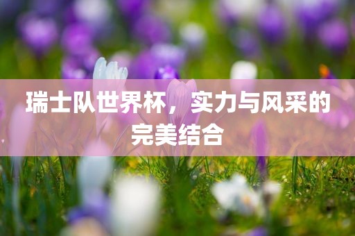 瑞士队世界杯，实力与风采的完美结合眉山市正发家政服务有限公司