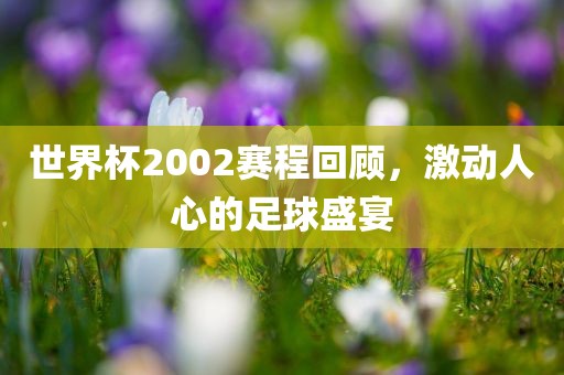 世界杯2002赛程回顾，激动人心的足球盛宴