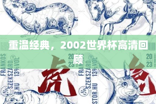 重温经典，2002世界杯高清回顾眉山市正发家政服务有限公司