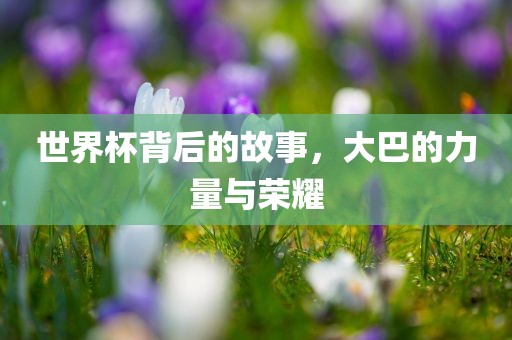 世界杯背后的故事，大巴的力量与荣耀眉山市正发家政服务有限公司