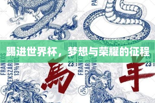 踢进世界杯，梦想与荣耀的征程眉山市正发家政服务有限公司