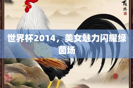 世界杯2014，美女魅力闪耀绿茵场眉山市正发家政服务有限公司