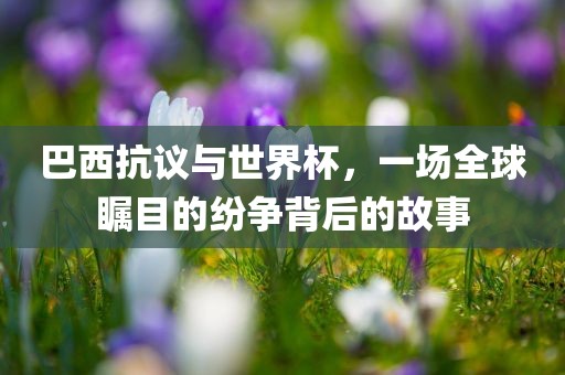巴西抗议与世界杯，一场全球瞩目的纷争背眉山市正发家政服务有限公司后的故事
