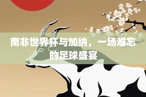 南非世界杯与加纳，一场难忘的足球盛宴