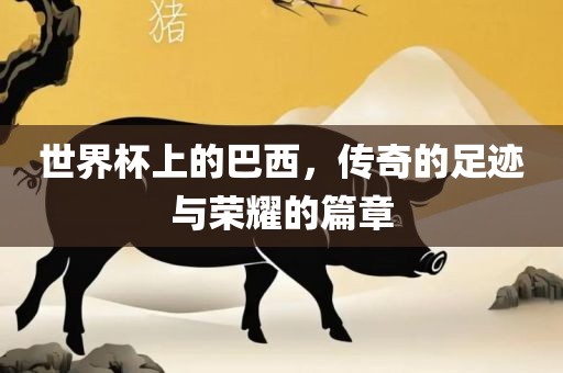 世界杯上的巴西，传奇的足迹与荣耀的篇章