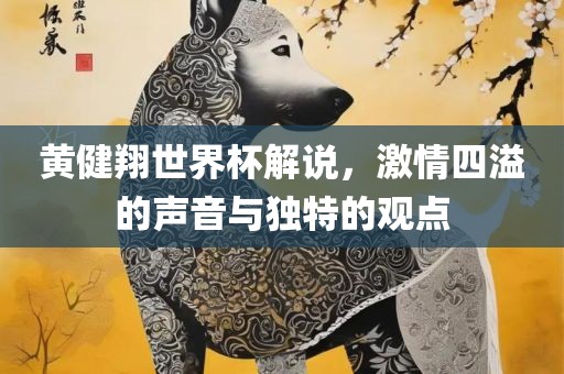 黄健翔世界杯解说，激情四溢的声音与独特的观点