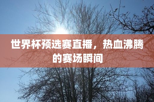 世界杯预选赛直播，热血沸腾的赛场瞬间