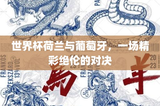 世界杯荷兰与葡萄牙，一场精彩绝伦的对决