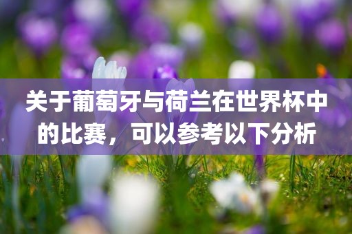关于葡萄牙与荷兰在世界杯中的比赛，可以参考以下分析眉山市正发家政服务有限公司