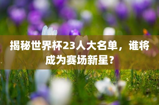 揭秘世界杯23人大名单，谁将成为赛场新星？