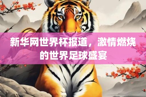 新华网世界杯报道，激情燃烧的世界足球盛宴