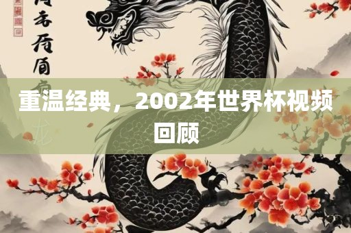 重温经典，2002年世界杯视频回顾