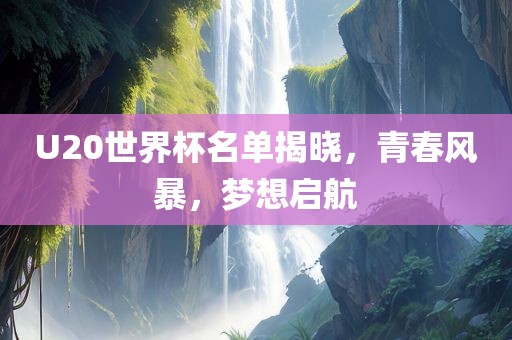 U20世界杯名单揭晓，青春风暴，梦想启航眉山市正发家政服务有限公司