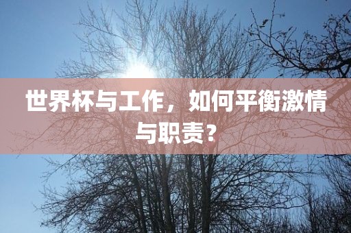 世界杯与工作，如何平衡激情与职责？眉山市正发家政服务有限公司